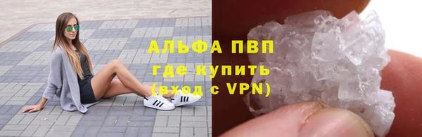 ECSTASY Богородицк