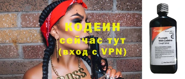 ECSTASY Богородицк