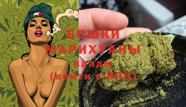 ECSTASY Богородицк