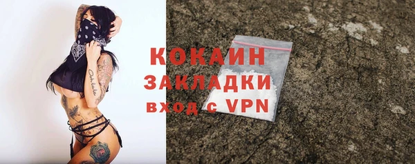 стафф Богданович