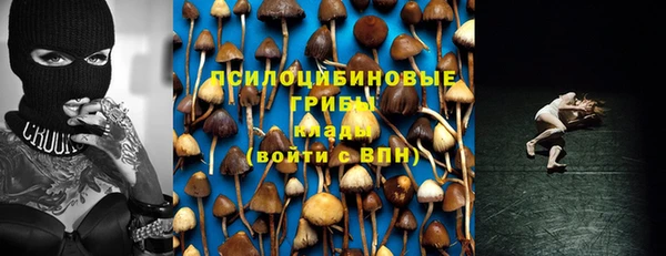 ECSTASY Богородицк