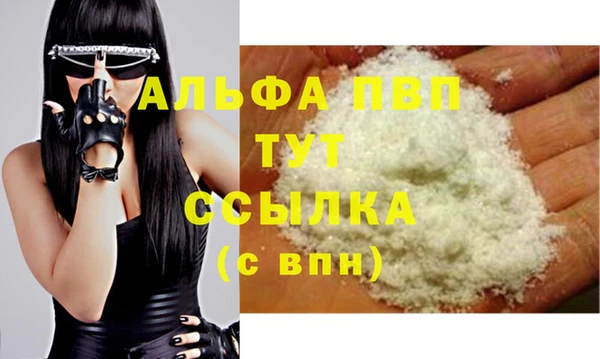 ECSTASY Богородицк