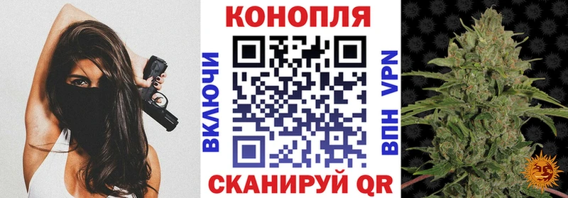 Бошки Шишки Amnesia  где можно купить   Мончегорск 